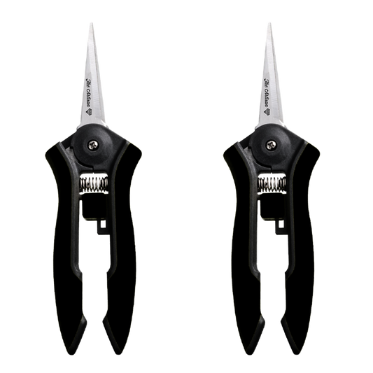 The Artisan 6-inch » 2-pack