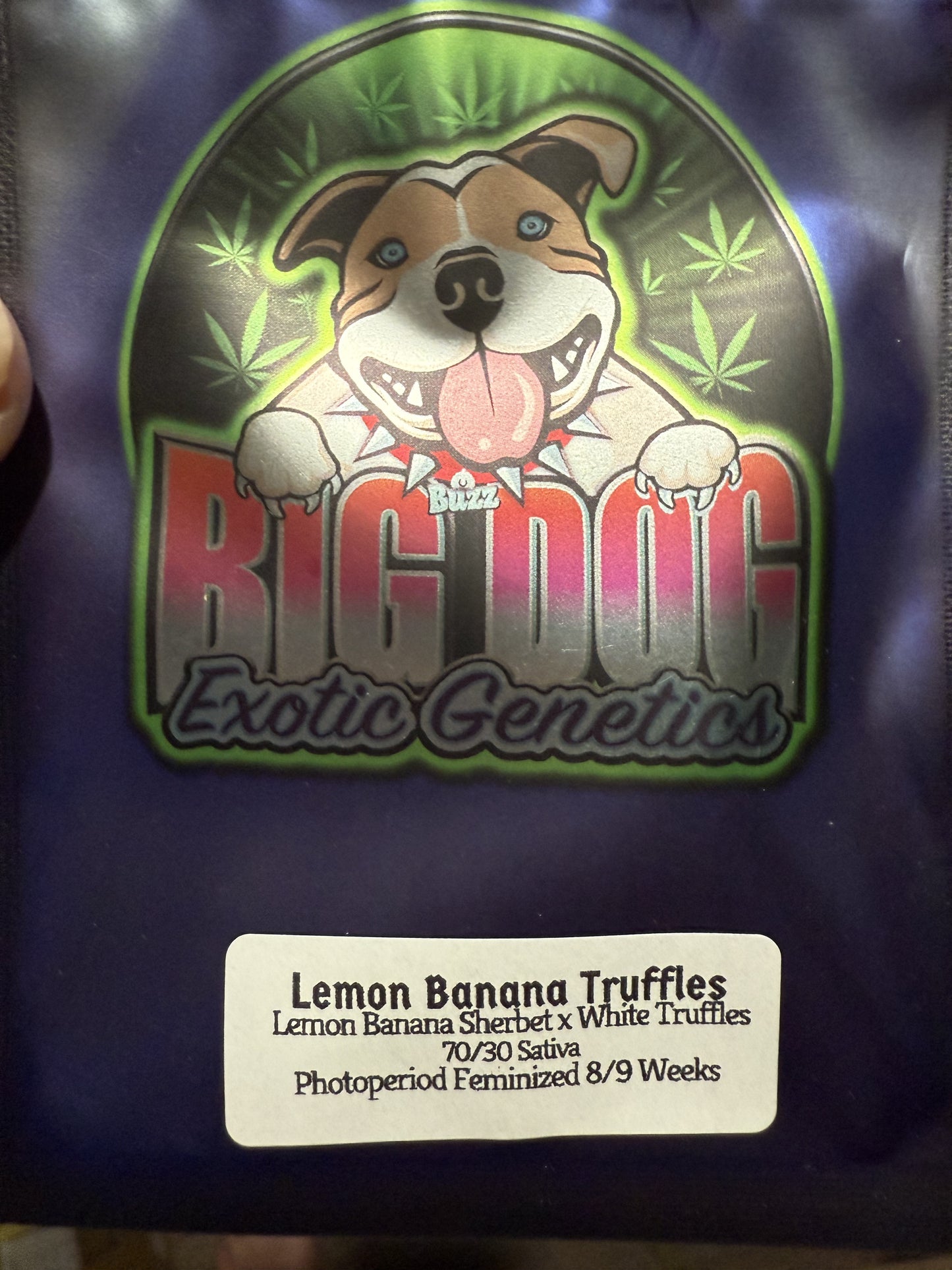 Limited Edition: Diamond Cut Co X Big Dog Genetics - Home Grow Kit