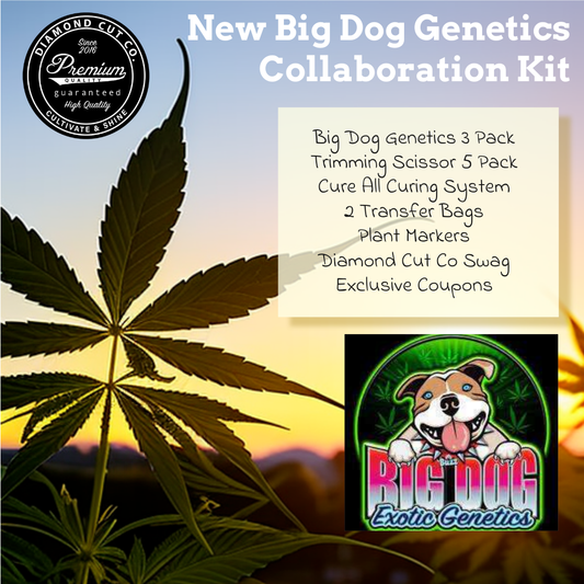 Limited Edition: Diamond Cut Co X Big Dog Genetics - Home Grow Kit